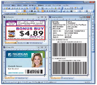 Barcode/2D code issuing oftware